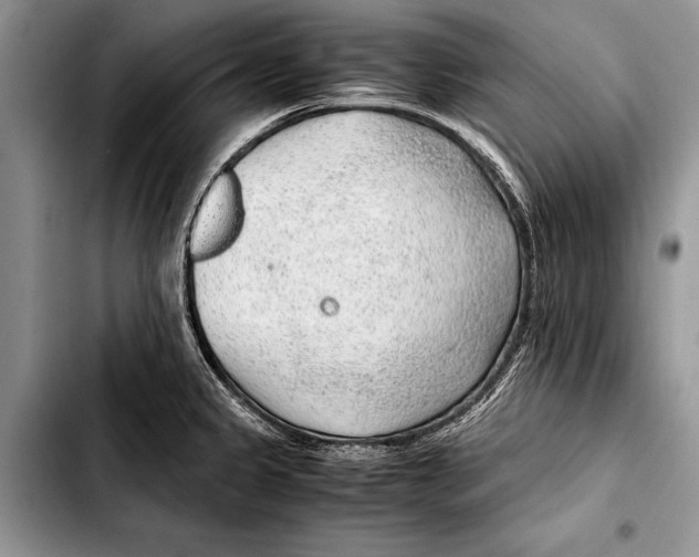 X0000103411333200810100948