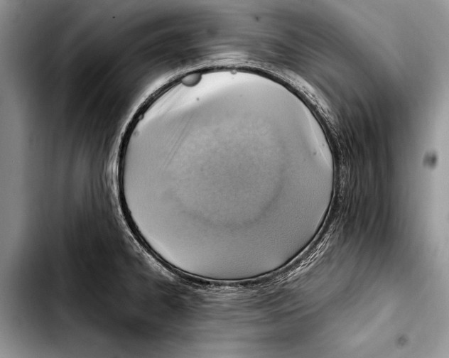 X0000103411334200810100948