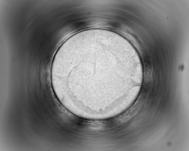 X0000103411338200810100948