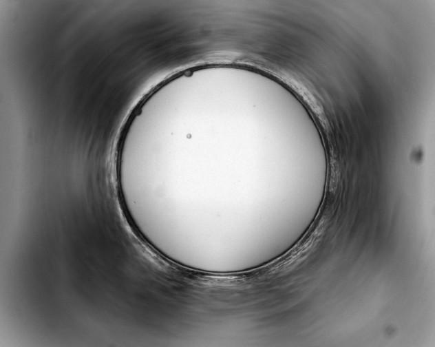 X0000103411342200810100948