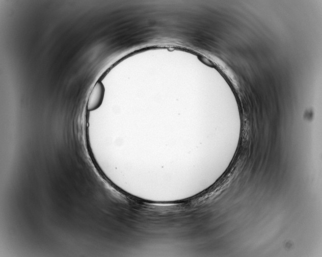 X0000103411343200810100948