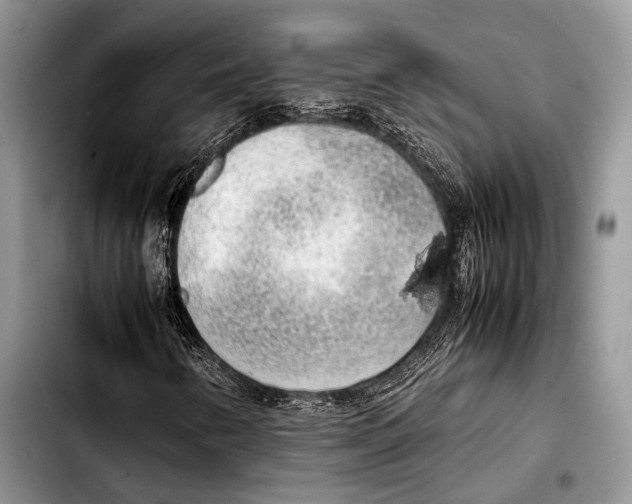 X0000103411346200810100947