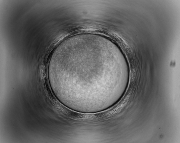 X0000103411353200810100947