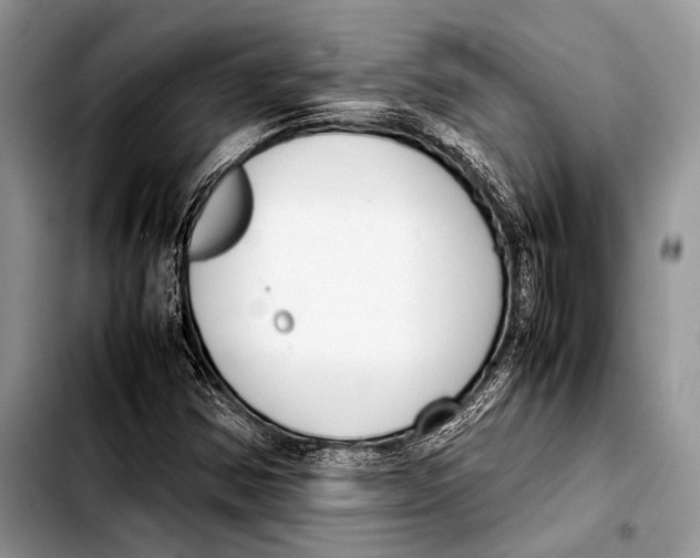 X0000103411354200810100947