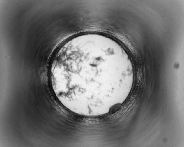 X0000103411356200810100947