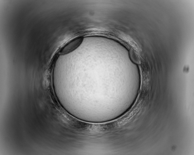 X0000103411357200810100947