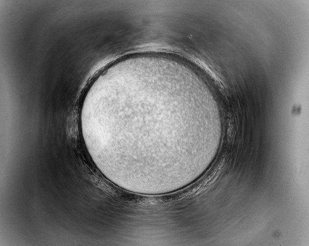 X0000103411358200810100947