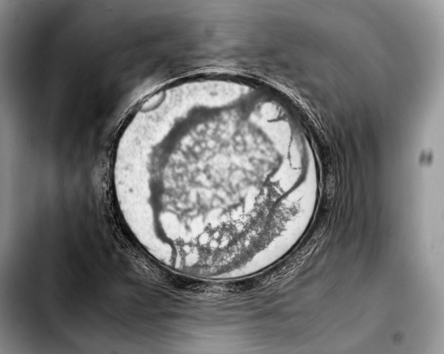 X0000103411359200810100947