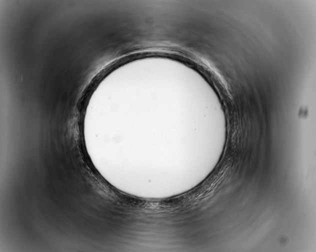 X0000103411360200810100947