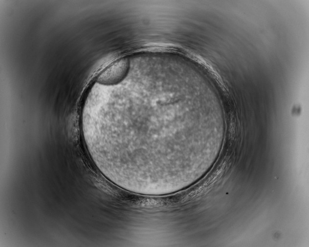 X0000103411362200810100947