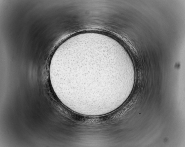 X0000103411363200810100947