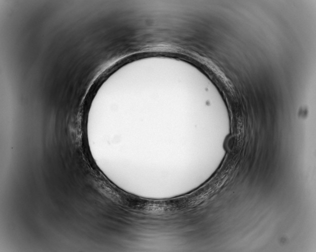 X0000103411364200810100947