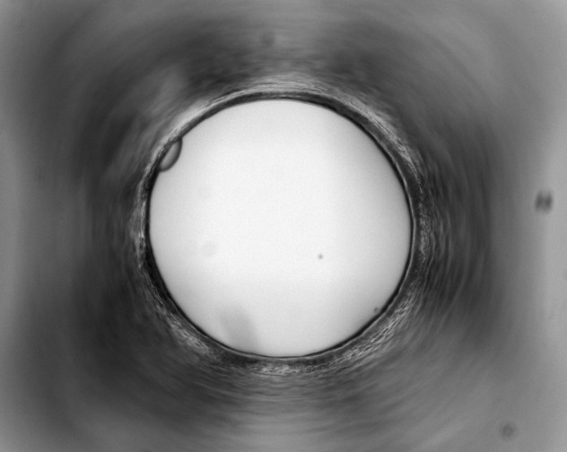 X0000103411366200810100947