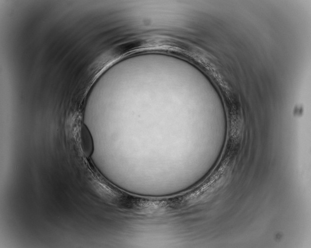 X0000103411369200810100947