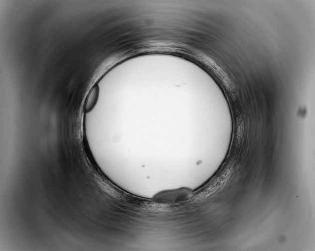 X0000103411370200810100947