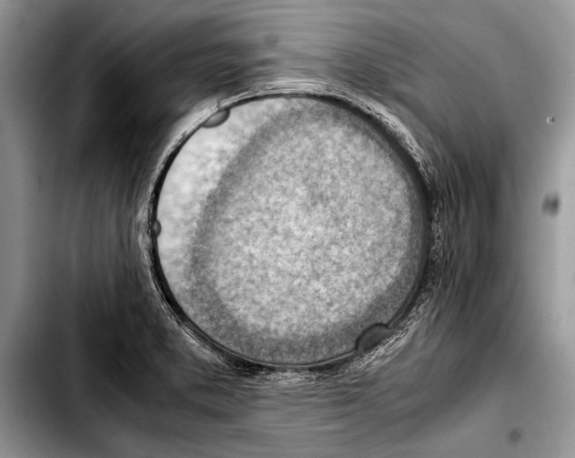 X0000103411373200810100947