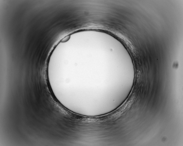 X0000103411374200810100947