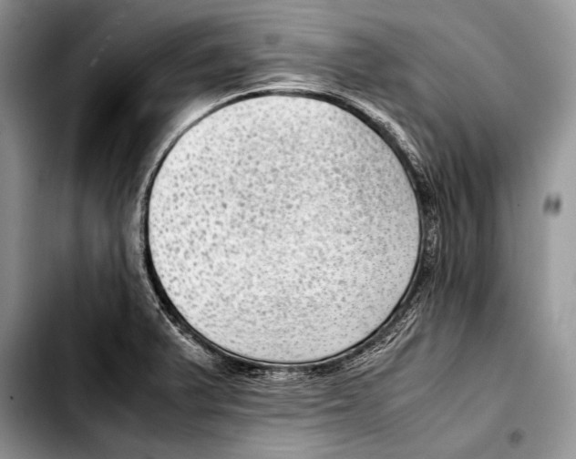 X0000103411375200810100947