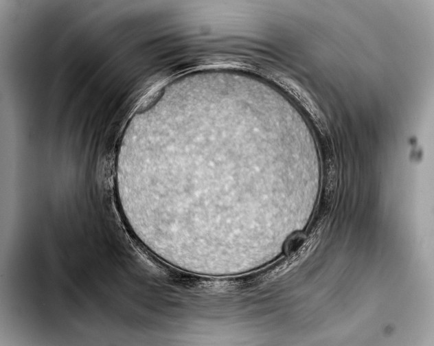 X0000103411377200810100947