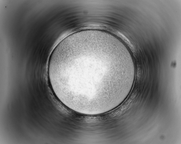 X0000103411378200810100947