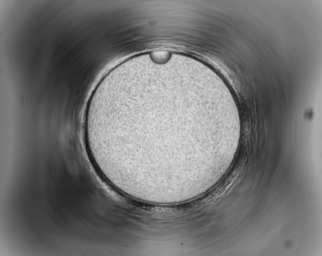 X0000103411379200810100947