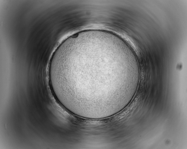 X0000103411382200810100947