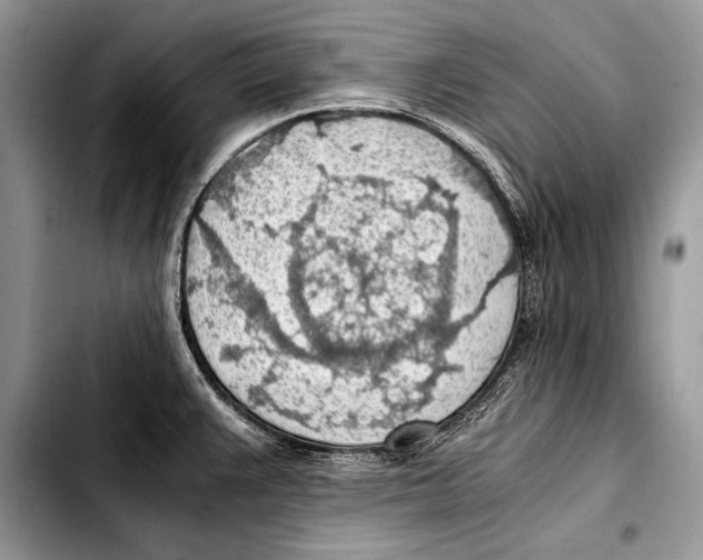 X0000103411383200810100947