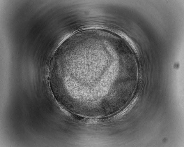 X0000103411385200810100947