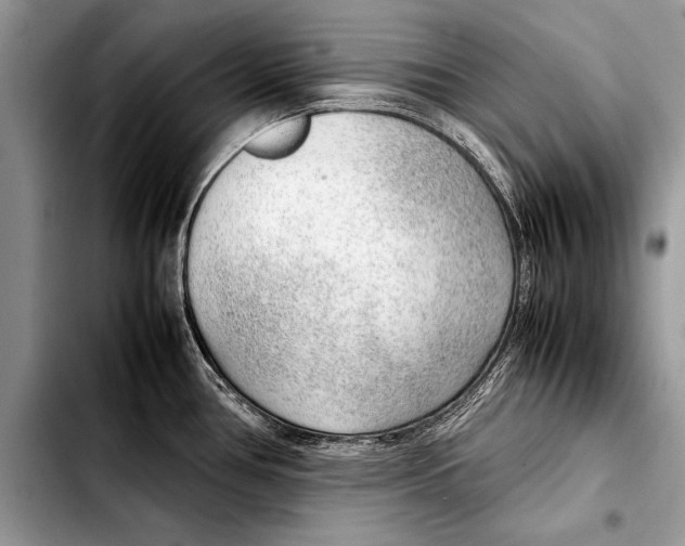 X0000103411386200810100947