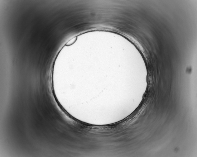 X0000103411391200810100946