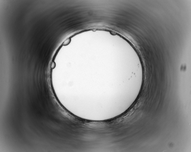 X0000103411392200810100946