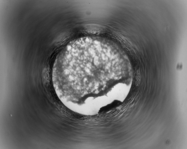 X0000103411394200810100946