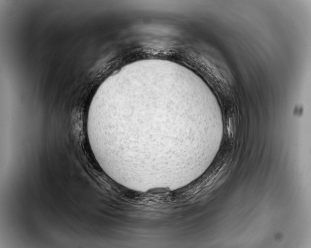 X0000103411396200810100946