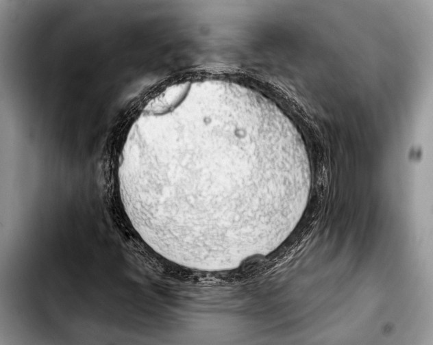 X0000103411398200810100946