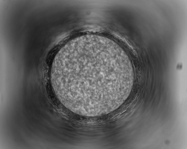 X0000103411399200810100946