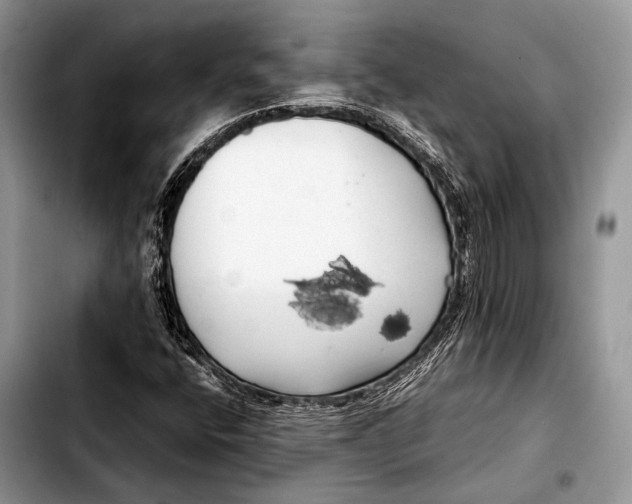 X0000103411400200810100946