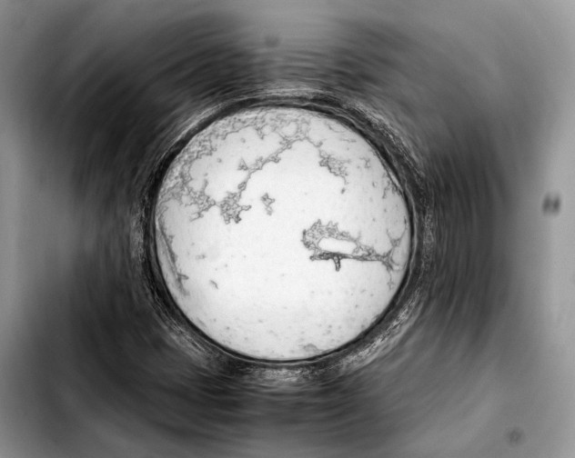 X0000103411401200810100946