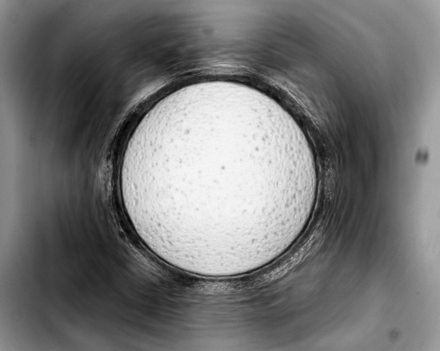 X0000103411402200810100946