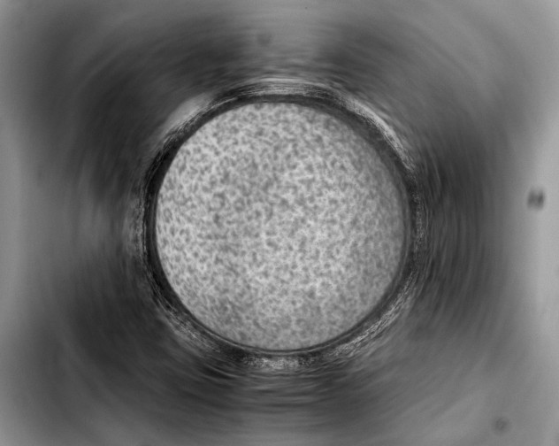 X0000103411403200810100946