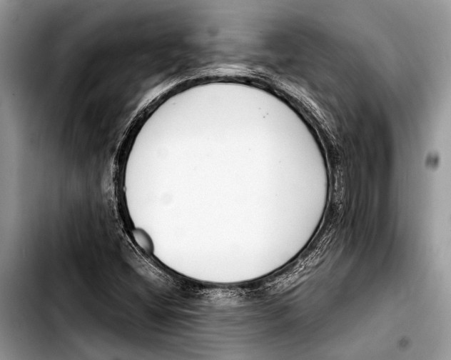 X0000103411404200810100946