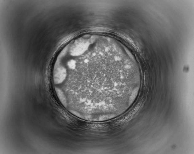 X0000103411405200810100946