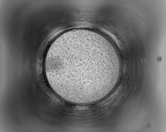 X0000103411407200810100946