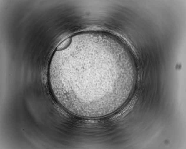 X0000103411409200810100946