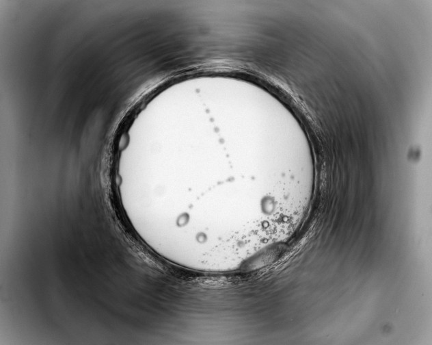 X0000103411410200810100946