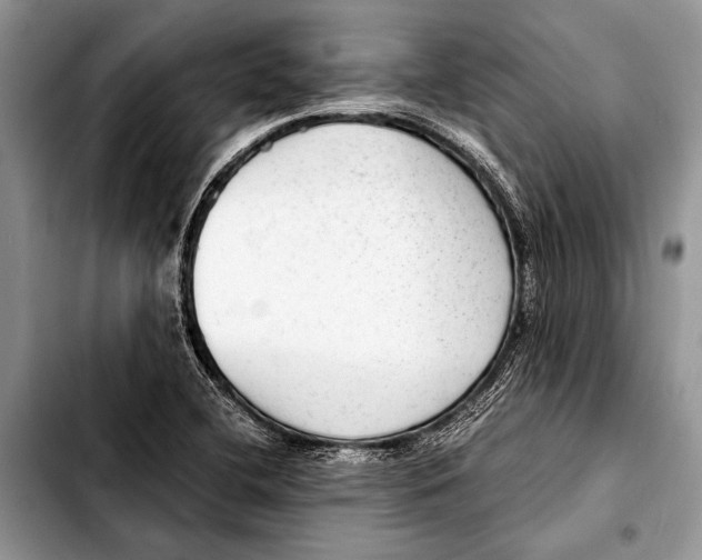 X0000103411412200810100946