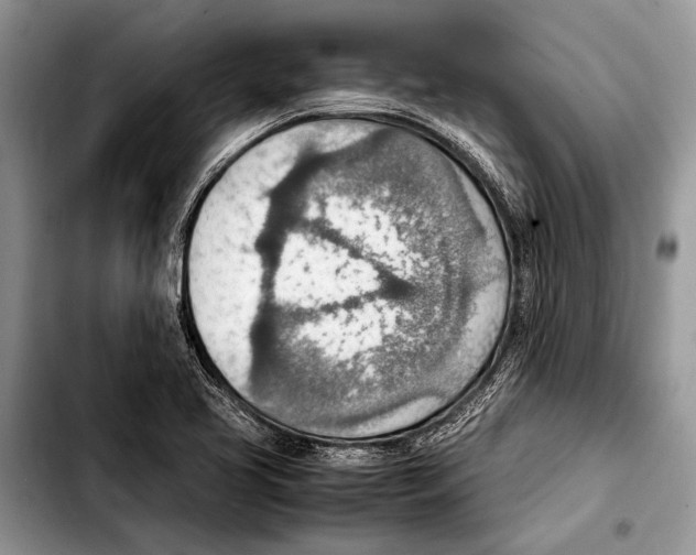 X0000103411413200810100946