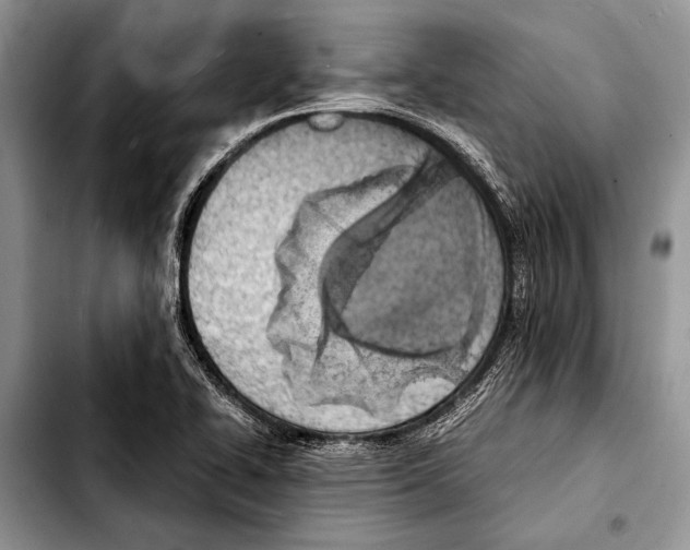 X0000103411414200810100946