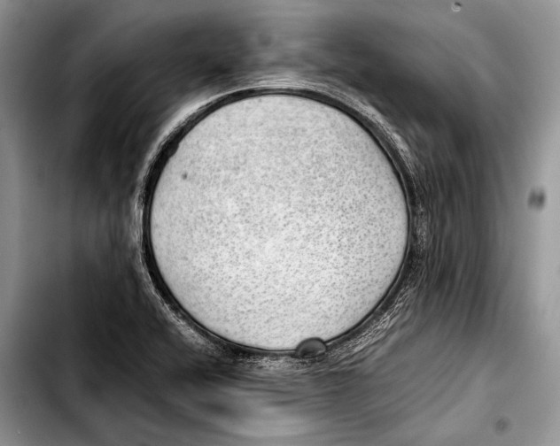 X0000103411416200810100946