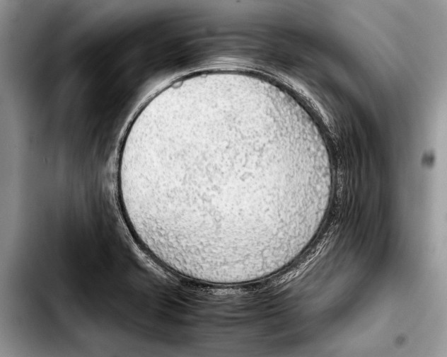 X0000103411421200810100946