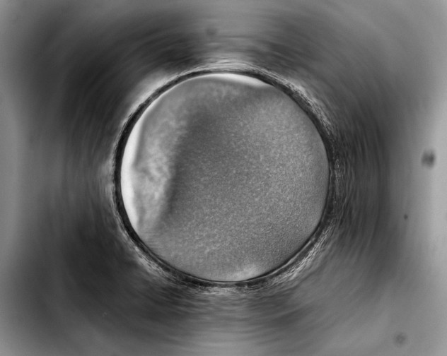 X0000103411422200810100946